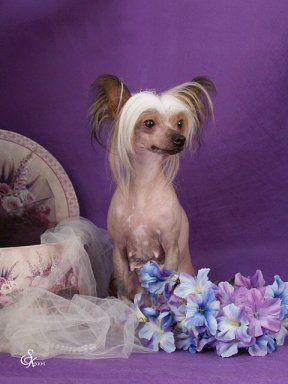 Jonbrecy's I'll Be Luv N You