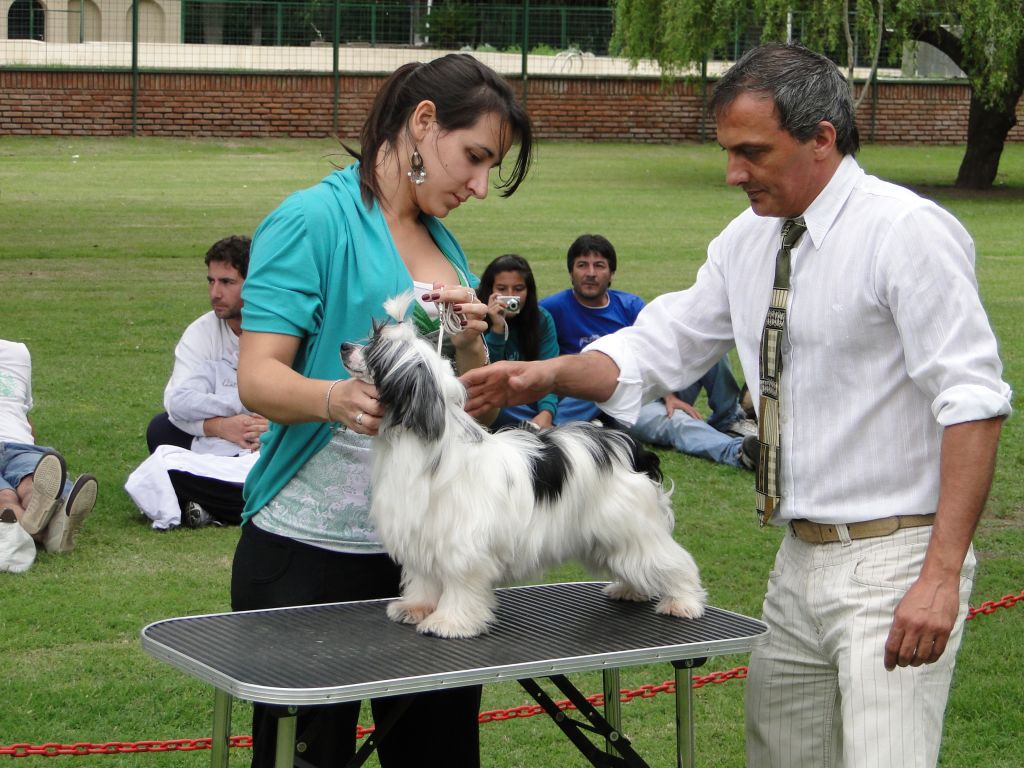 Moños Rojos Compose Like Ivory