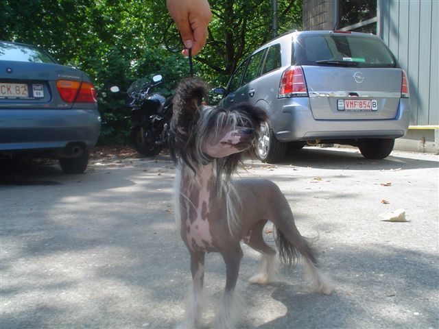 Cruela Island Shangri-La