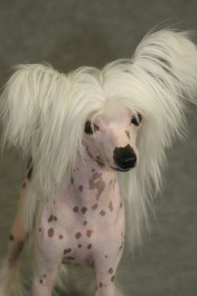 E.Jules Island Shangri-La