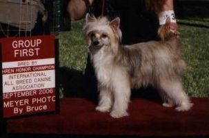 Sundown's Final Episode