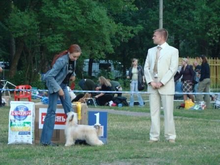 Olegro Katrin Irbisa Gift Of Solar