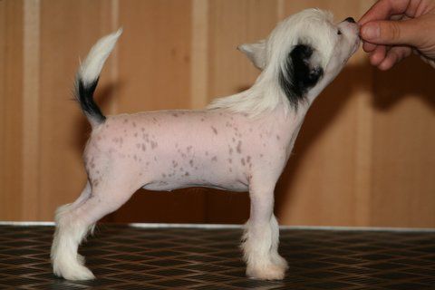 Chattanooga's That's All