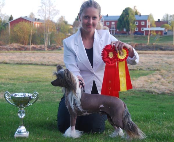 Fire Dance Top Model De Rama