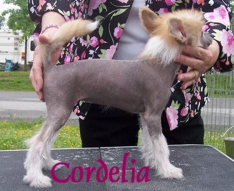 Edencrest Tqila MksR Clos Foloff