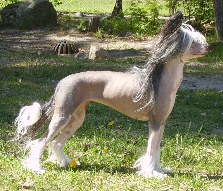 Cute and Crazy Donna