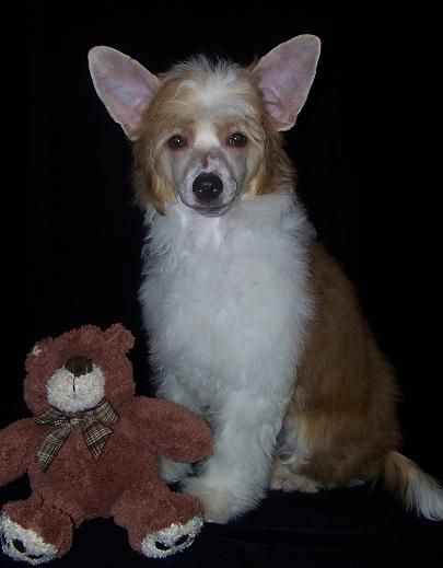 Delende I'm Just Bump Draftin'