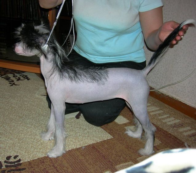 Romanticheskaya koketka dlya Minodory