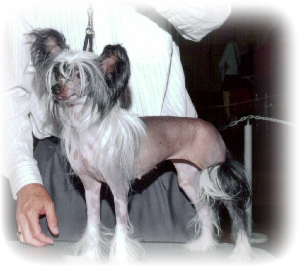 Kalon's Total Eclipse of d' Heart