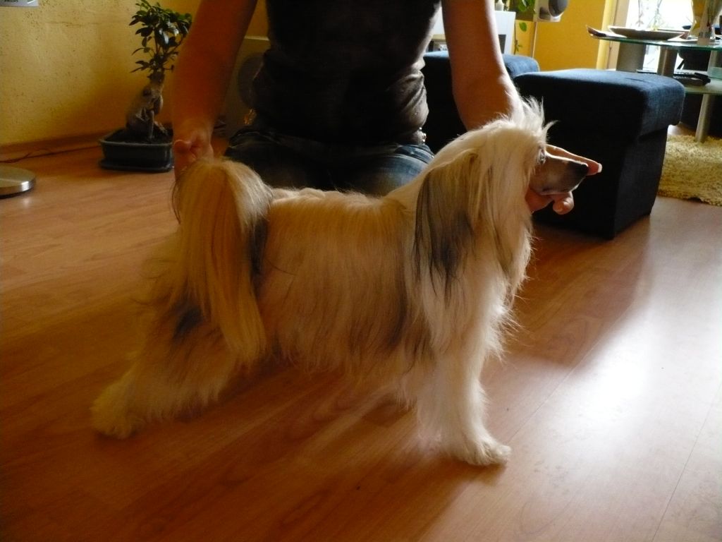 Estwood Boy Eve-Bler