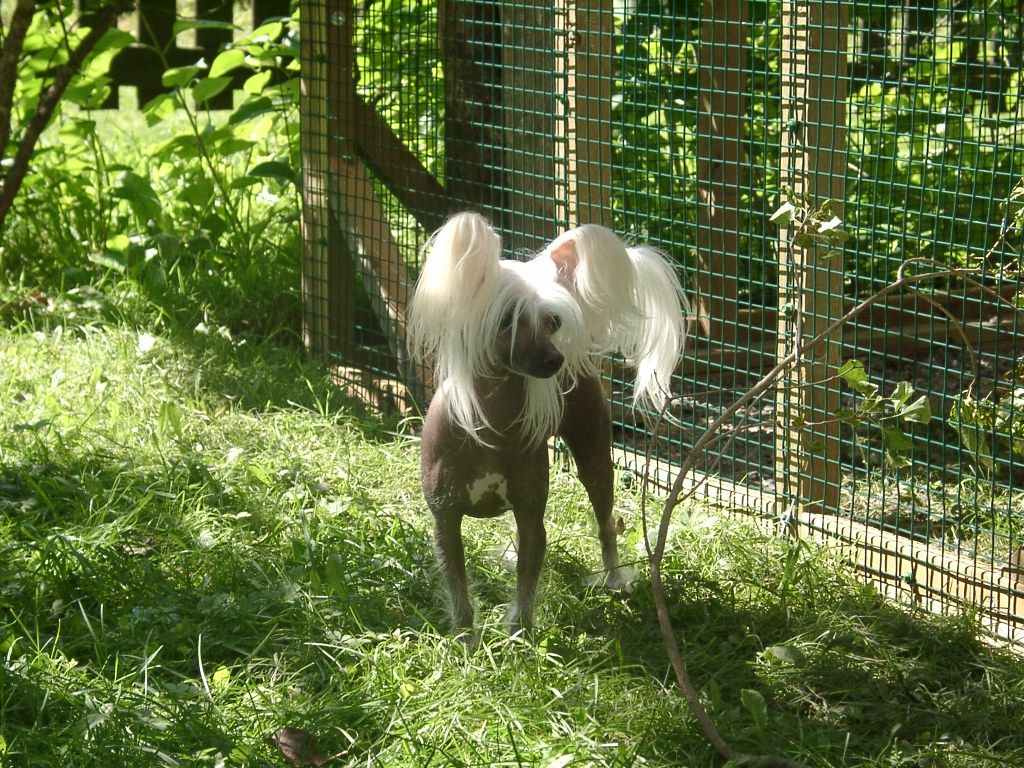 Shadowgame's Moonlight Baby 