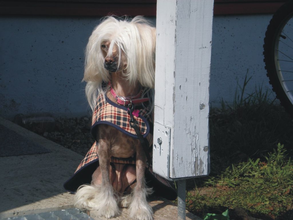 Shadowgame's Just Love Me 