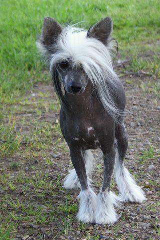 Shadowgame's Ain't A Saint