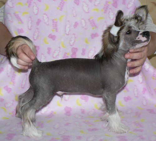 Fabien z Zatopene Chajdy