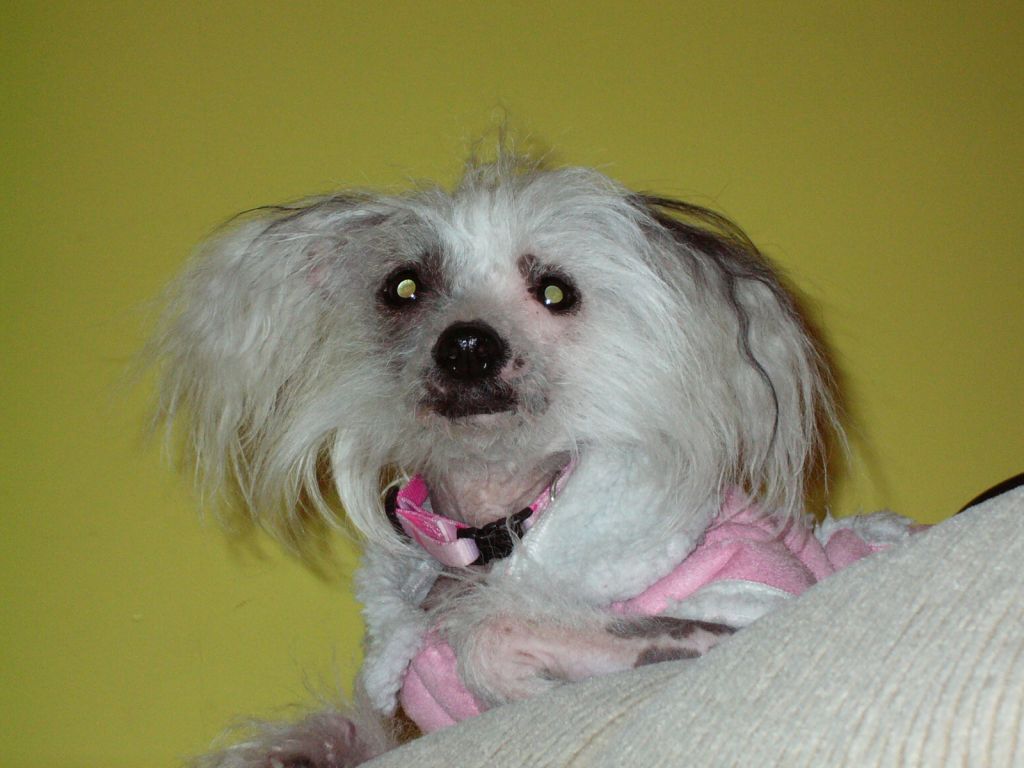 Triple Hearts How Sweet She Is