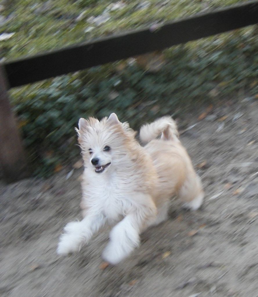 Cash Top Model De Rama