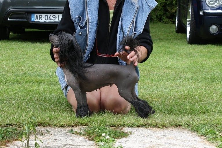 Oriental Jokes Bishop Baccarat