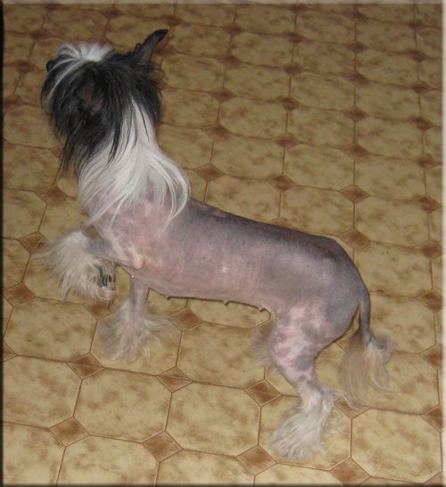 Bushwack's It Takes Two To Tango