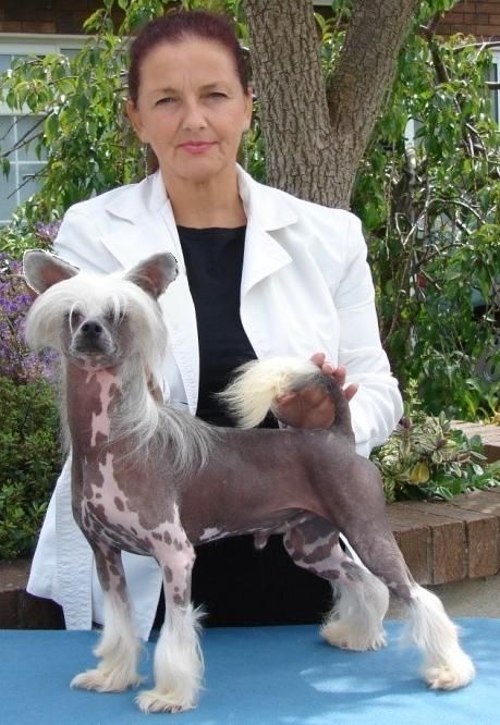 Woodhaven The Slayer