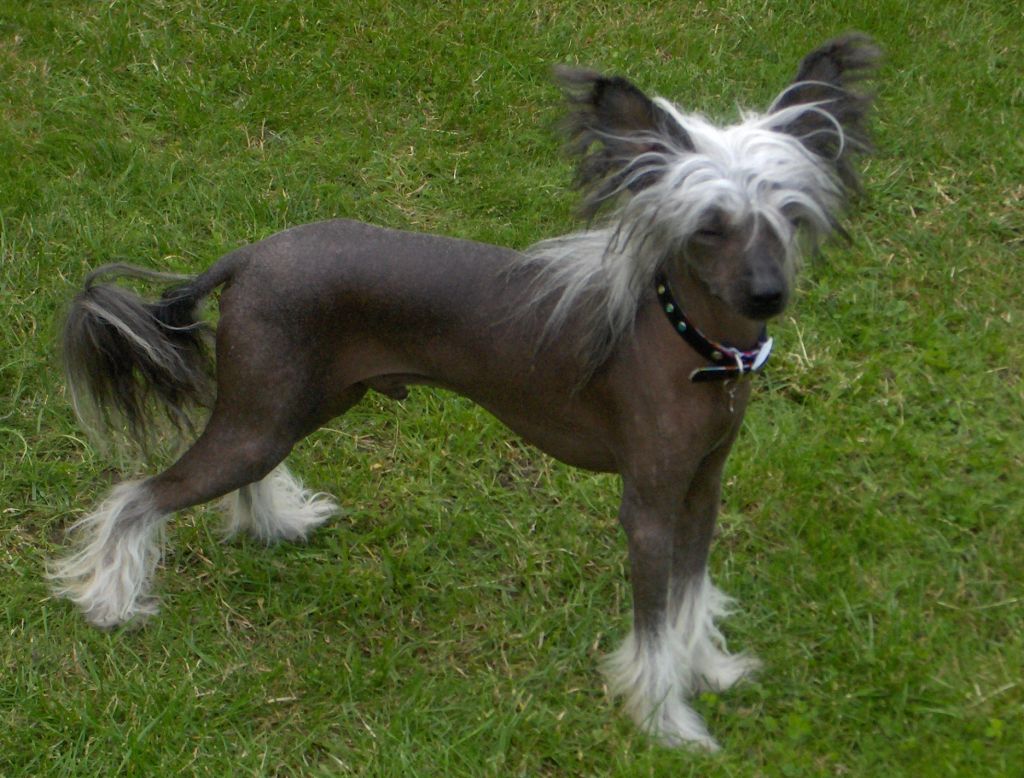 Only The Best My Beautiful Hero