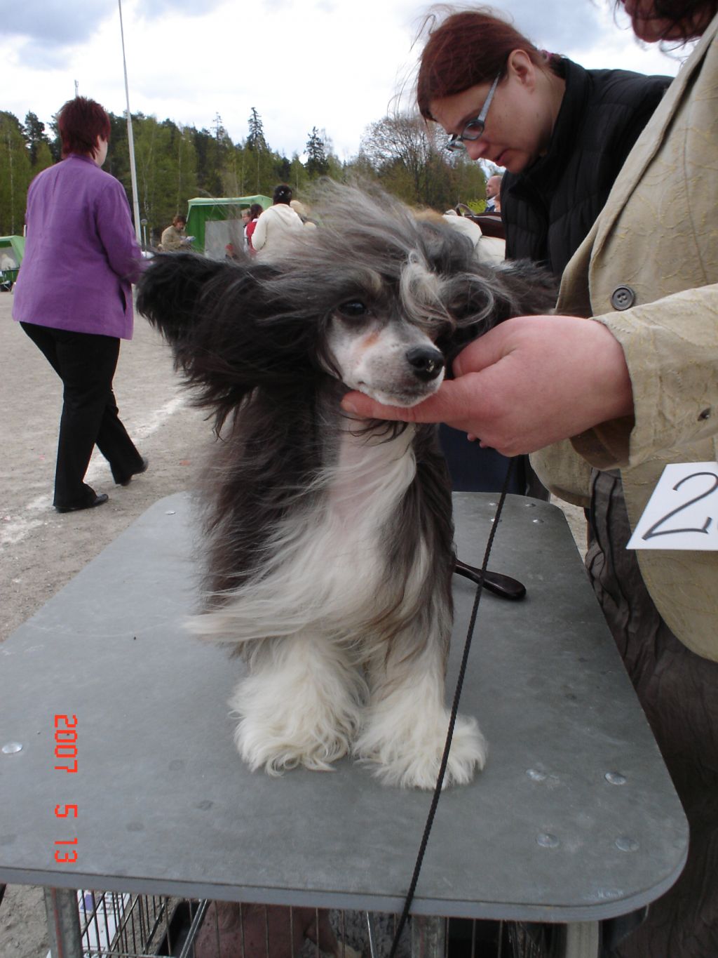 Kuutarhan Myrskynmerkki
