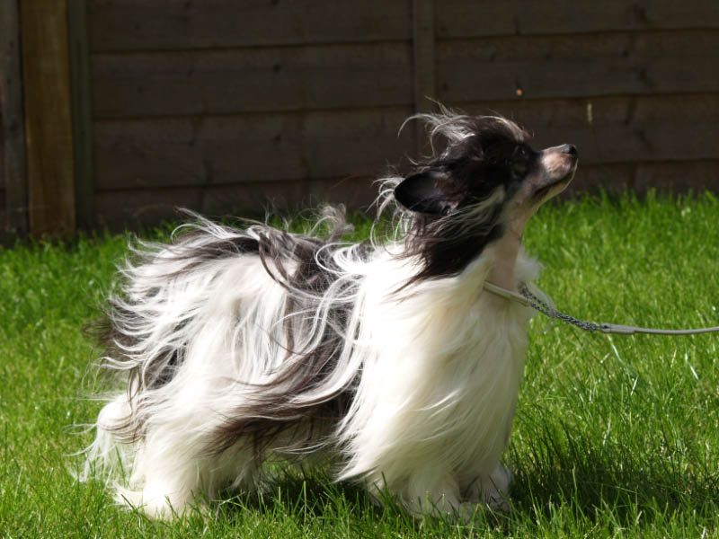 BridgetNaces Precious