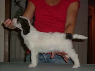 Chineseblue's Found You