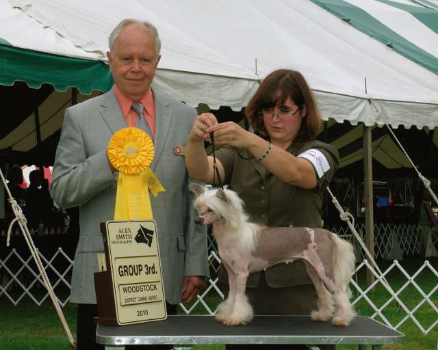 Silver Bluff Donna Karan