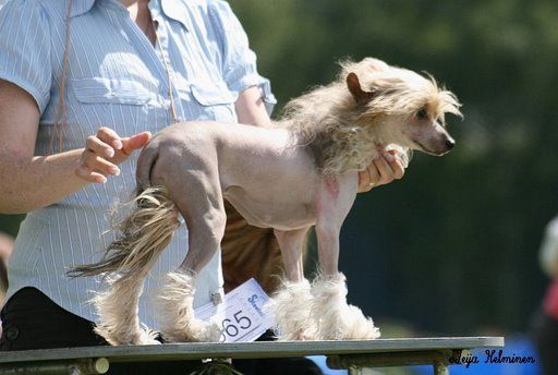 Mi Chiamo Mona Lisa Galus