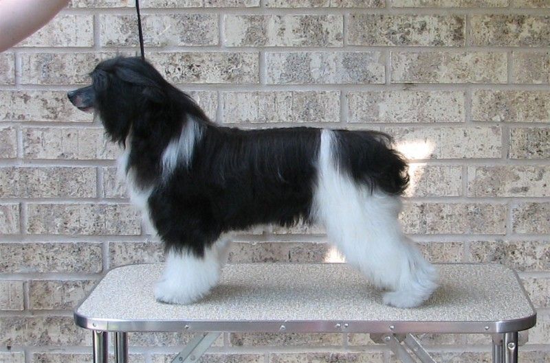 Rock On Here Comes The Sun