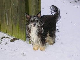 Expression-Do Me A Favor