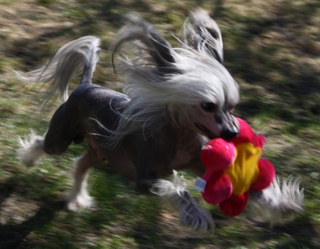 Eugenios Licence To Kill