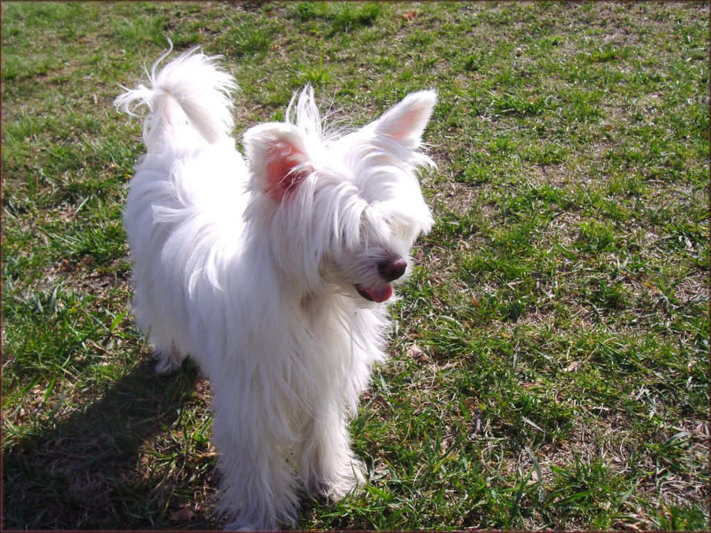 Clarissa od Teareibi  