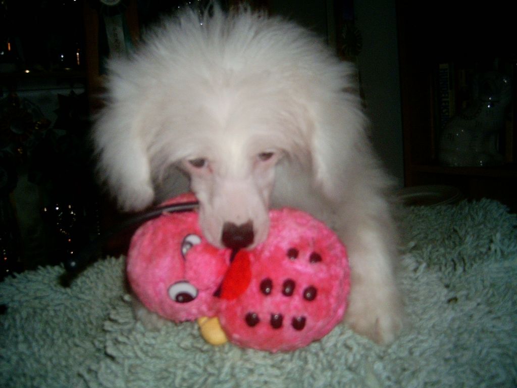 Caprioso Lee-Man-Suk