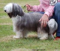 Lady's Trick Överhuvud