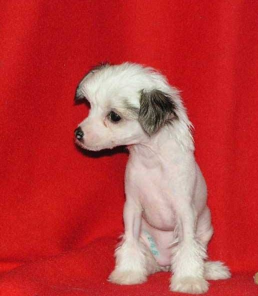 Cayra Lee z Valasskeho raje