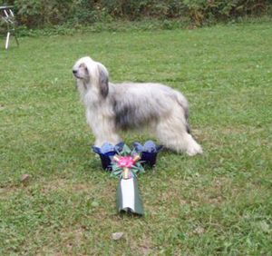 Belshaw's California