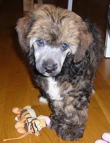 Bai Long's Cash Is King