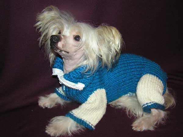 Kredo Festa Latest Model