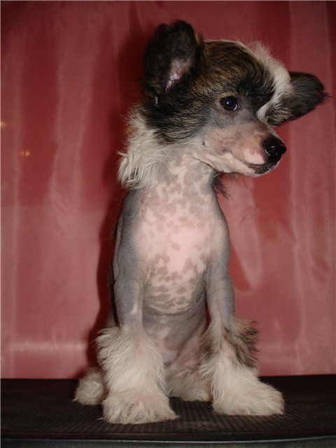 Olegro Katrin Lee-Roy