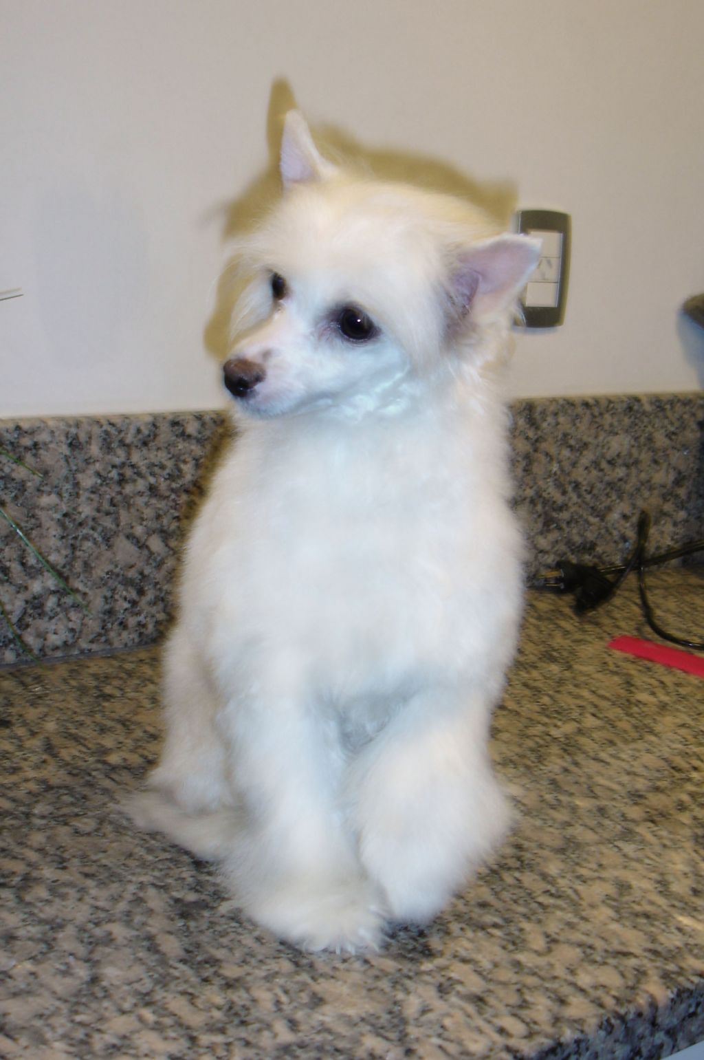 Zuleica Puff FalaZairroo