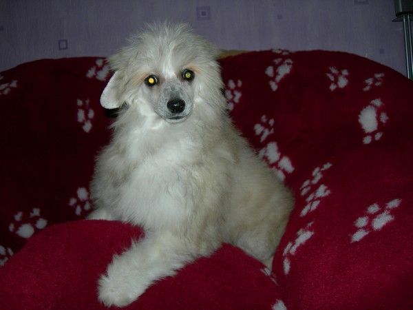 Babsy of Crazy Debbie