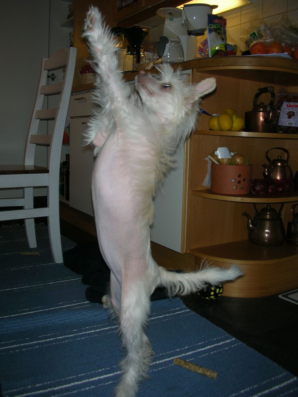 Magic'N Mystic Fully Foolproof