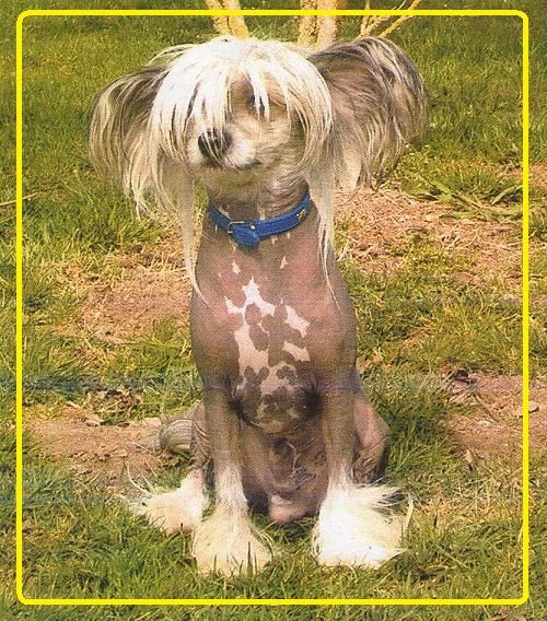 Vade-Mecom du Domaine de L'Hirondelle