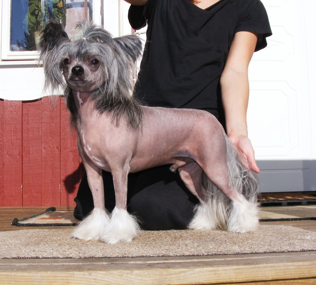 Sirocco So Fell Autumn Rain