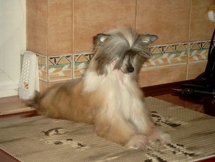 Florencja Sub-O-Divo