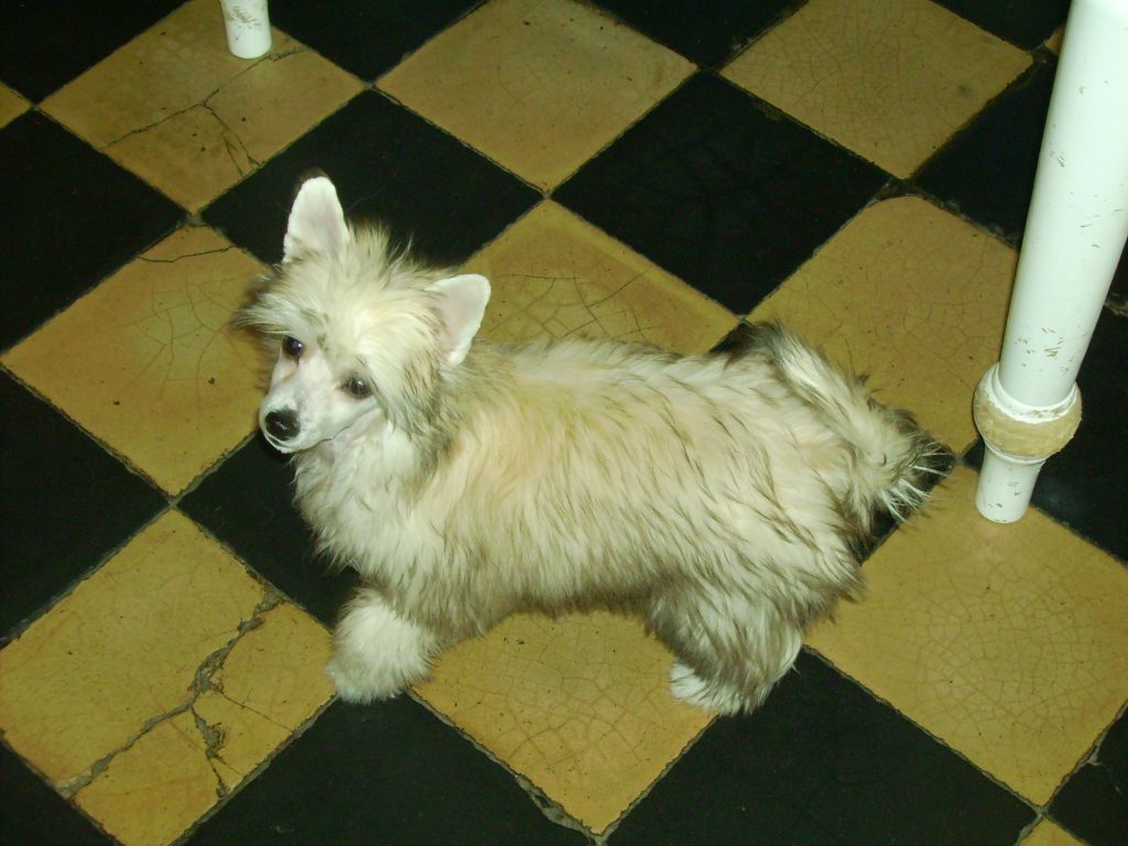 Beijing Of Crazy Debbie