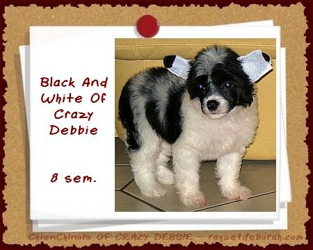 Black and White of Crazy Debbie