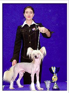 Vivat Sanraiz Zhofrei