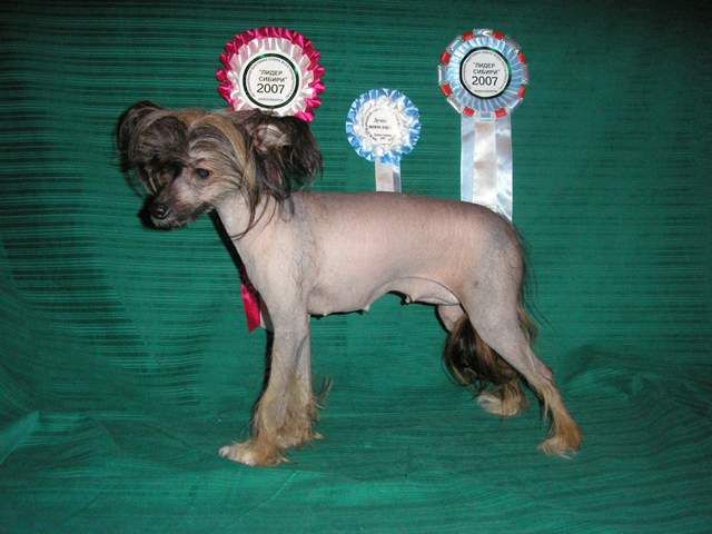 Epifania s Tushinskogo Doma